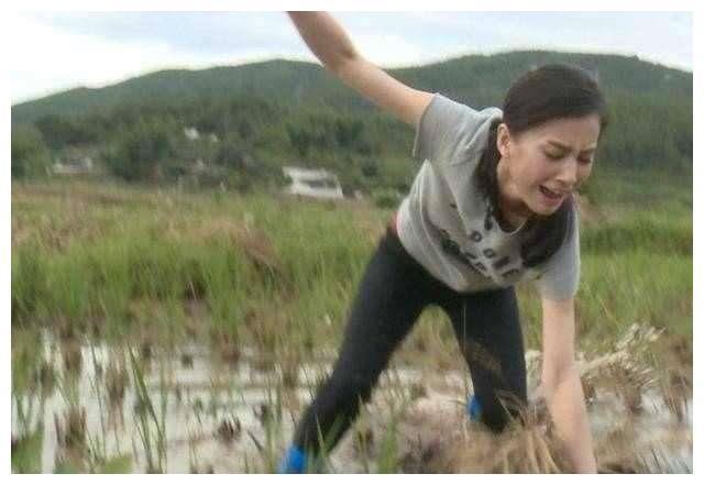 女明星干农活, 赵丽颖是好手, 秋瓷炫最接地气, 杨紫你们自己看吧
