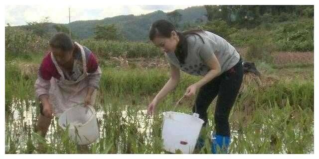 女明星干农活, 赵丽颖是好手, 秋瓷炫最接地气, 杨紫你们自己看吧