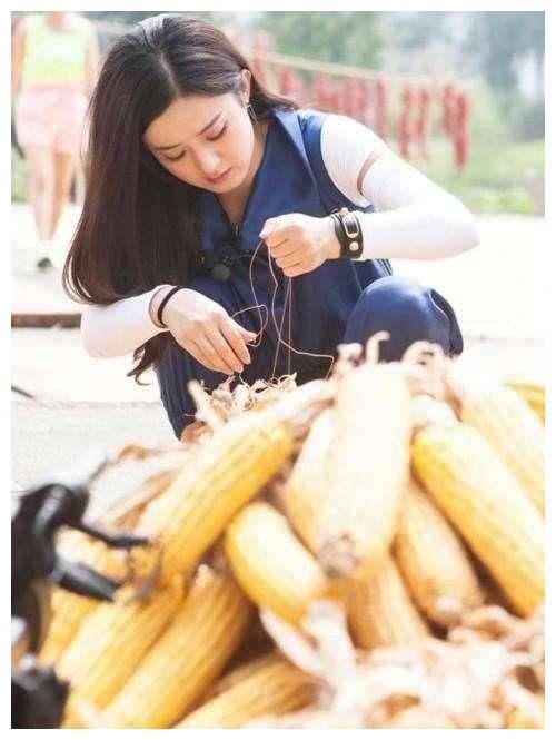 女明星干农活, 赵丽颖是好手, 秋瓷炫最接地气, 杨紫你们自己看吧