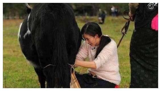 女明星干农活, 赵丽颖是好手, 秋瓷炫最接地气, 杨紫你们自己看吧