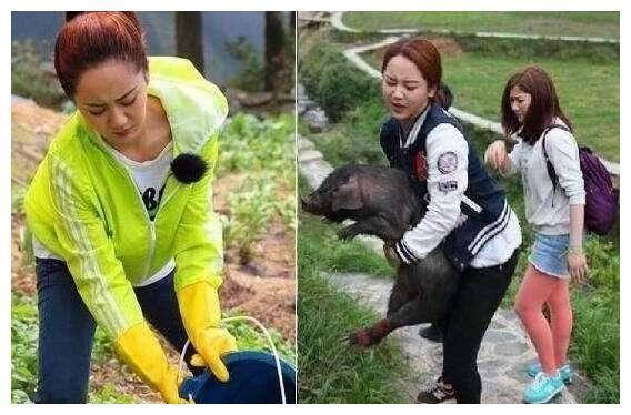 女明星干农活, 赵丽颖是好手, 秋瓷炫最接地气, 杨紫你们自己看吧