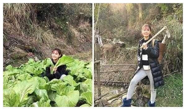 女明星干农活, 赵丽颖是好手, 秋瓷炫最接地气, 杨紫你们自己看吧
