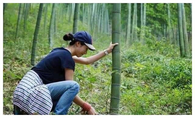 女明星干农活, 赵丽颖是好手, 秋瓷炫最接地气, 杨紫你们自己看吧