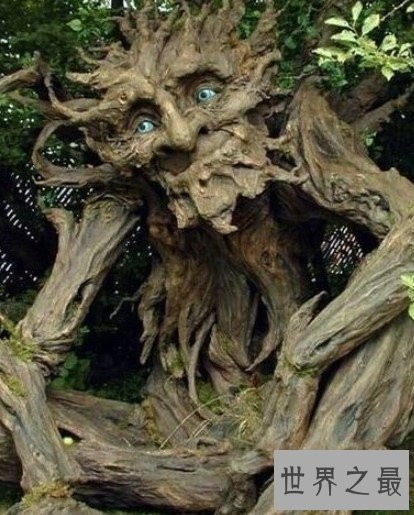 世界上最神奇的吸血植物,一碰之后就能吸光你的血