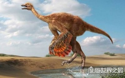 ​世界上最大的鸟有多大，马达加斯加象鸟高达三米（已灭绝）