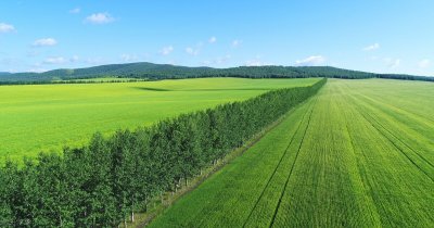 ​中国最大的草原是哪个草原（东北平原面积三十五万平方公里）