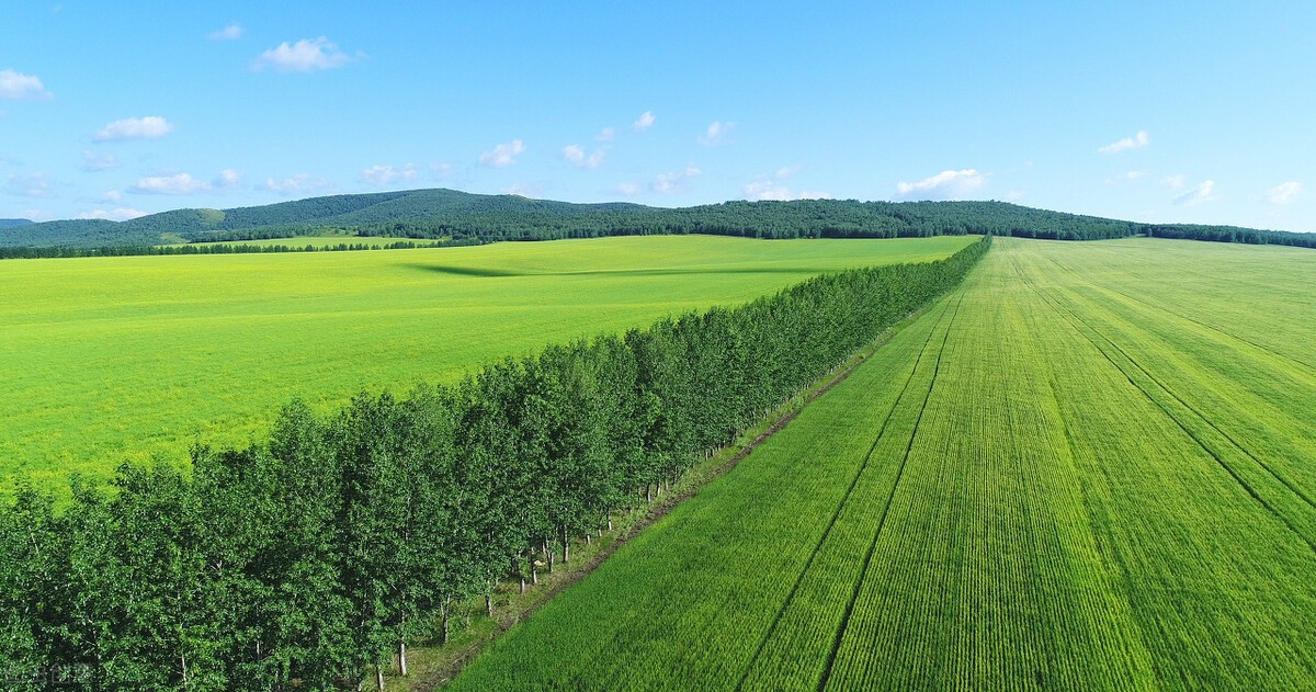 中国最大的草原是哪个草原（东北平原面积三十五万平方公里）(1)_