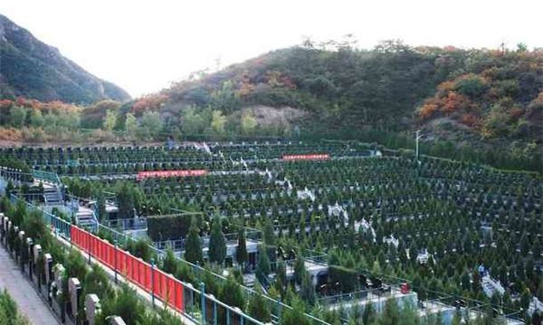 世界上最大墓地是哪个（五百多万人长眠看不到边际）(2)_