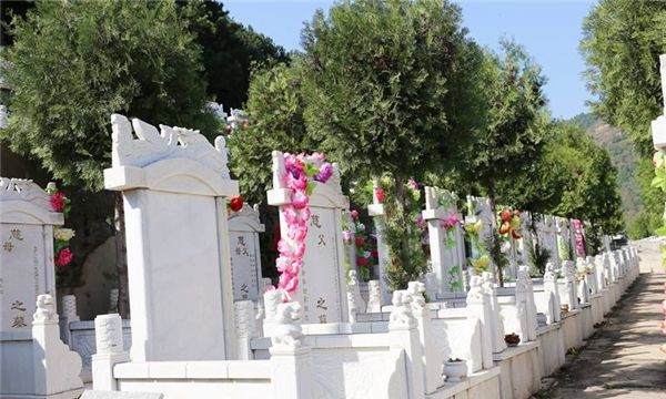 世界上最大墓地是哪个（五百多万人长眠看不到边际）(4)_