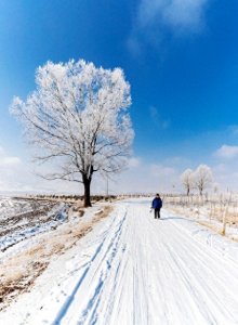 ​今年“冷冬”已经成为定局，要被冻到哭？看老祖宗的农谚怎么说