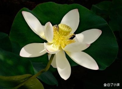 ​“色即是空，空即是色”，何为“色”何为“空”？