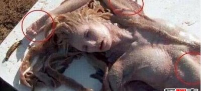 ​世界上有美人鱼吗？美人鱼是怎样来的_美人鱼便是儒艮