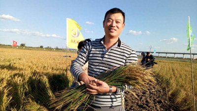 ​他被誉为中国第二个“袁隆平”，花3亿立志要在沙漠种出水稻