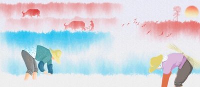 ​椰糠养花，你知道该如何使用吗？这两点需注意