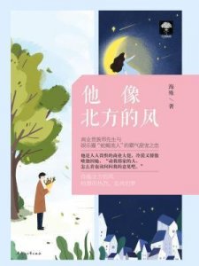 ​《青春制暖》《他像北方的风》《过客匆匆》《所爱隔山海》