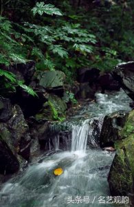 ​男人，要像狼一样，充满血性