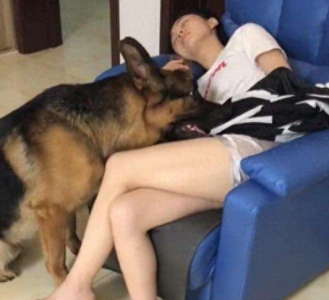 ​狗狗晚上不睡觉怎么办？