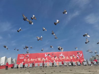 ​首次放飞10万羽和平鸽！从哪来？飞哪去？