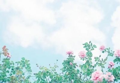 ​蛇的吓人 蛇吓人照片