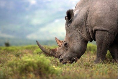 ​灭绝动物重生，这是人类生命的转折点吗？