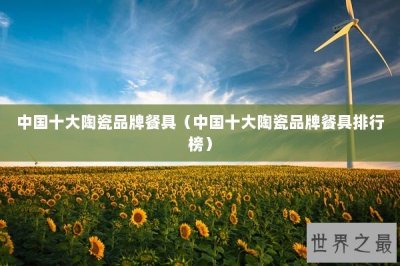 ​中国十大陶瓷品牌餐具（中国十大陶瓷品牌餐具排行榜）