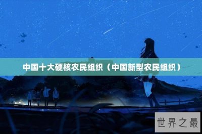 ​中国十大硬核农民组织（中国新型农民组织）