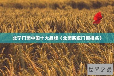 ​北宁门窗中国十大品牌（北窗系统门窗排名）