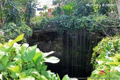 ​生命的源泉“圣井”之谜