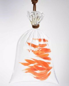 ​深堀隆介是一位来自日本横滨的艺术家