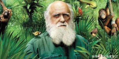 ​夏朝就是古埃及的证据再添迷云，真相何时解开，你怎么判断