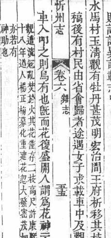 忻州玉清观之牡丹