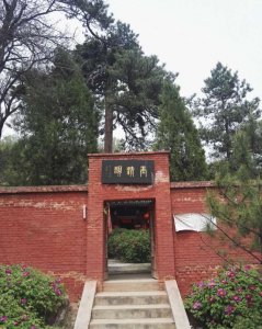 ​忻州玉清观之牡丹