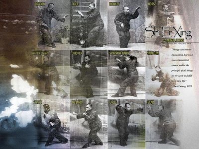 ​形意门薛颠鬼魅身法: 拳打三节不见形, 如见形影不为能