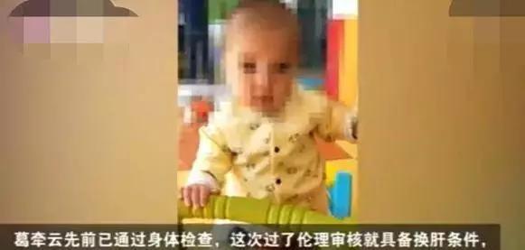 妈妈为9月婴儿割肝续命,爸爸:我决定放弃孩子,包括你