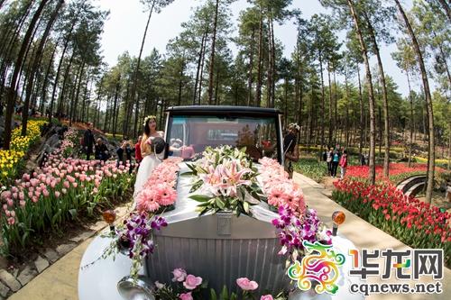 花谷景区旅游攻略（涪陵大木花谷景区演绎）(5)