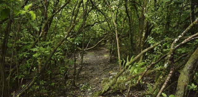 诸葛亮的坟墓至今找不到, 秘密在这里!