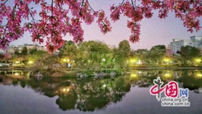 ​售票员：小窗口大舞台，平凡岗位放光芒