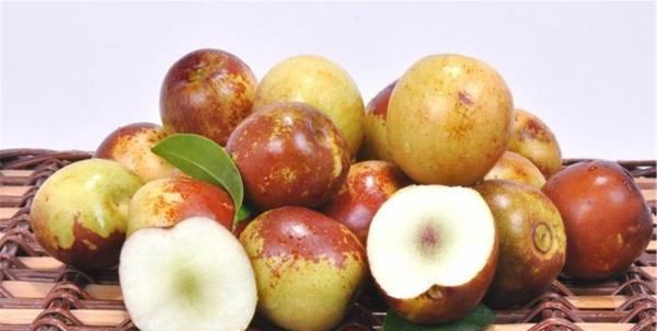 冬枣的功效与作用,冬枣的营养功效与作用图1