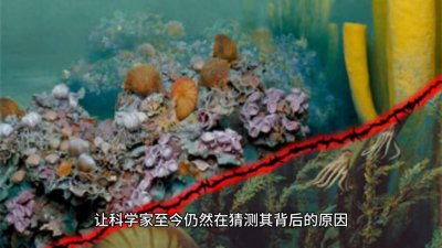 ​地球46亿年：五次生物大灭绝的奇异纪录 在这个浩瀚无垠的宇宙中