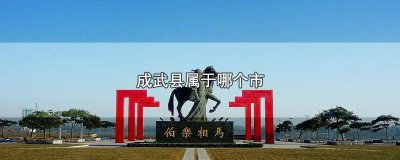 ​成武县属于哪个市