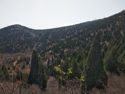 ​中国之最~满城汉墓！