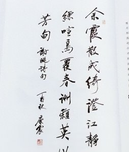 ​康震教授：传统与现代融合，书坛的清流