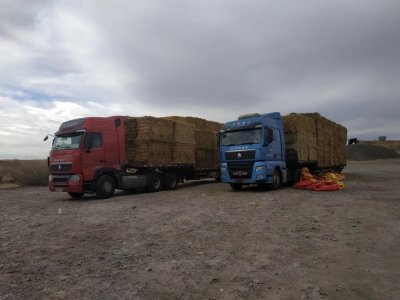 ​6月起多地国三车限行，部分24小时禁行！国三车主该何去何从？