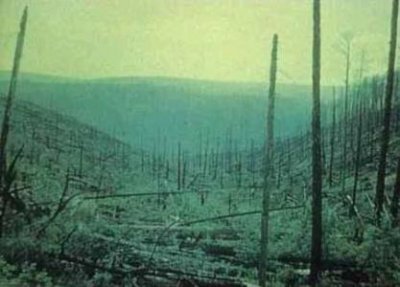 ​精灵宝可梦奇闻趣事29龙族叛徒粉色恶魔和最惨固拉多