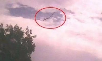 ​全球旅行时间最长的航班：飞行一趟需要19个小时，跨越大半个地球