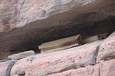 ​携手共建地球生命共同体 我国生态文明的成果有哪些