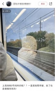 ​上海地铁突发！8号线限速运行，官方回应