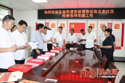 ​平舆县东皇街道：逐村观摩促提升 整乡推进谋发展