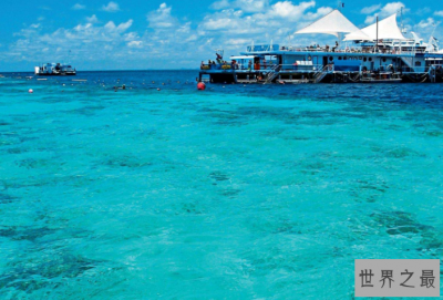 ​世界十大海洋 南海上榜，珊瑚海位列第一