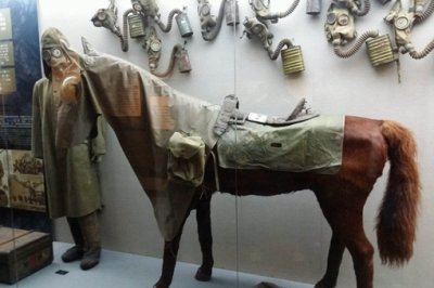 ​手游现731部队是怎么回事?731部队历史事件揭秘